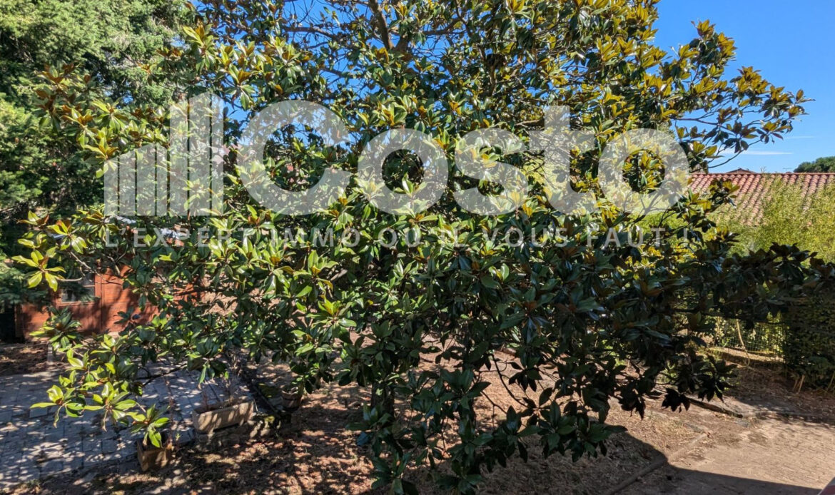 c09b9d8e